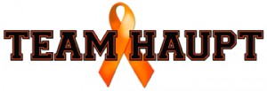 Team Haupt_LogoSmall