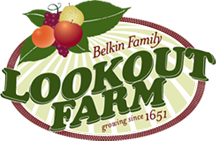 Farm Farm