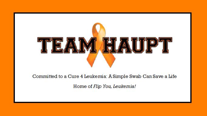 TeamHauptLogo2 TeamHauptLogo2